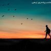 کفش های مناسب پیاده روی اربعین