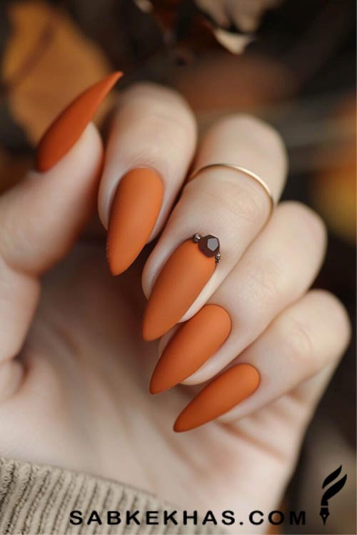 طرح‌های لاک ناخن پاییز