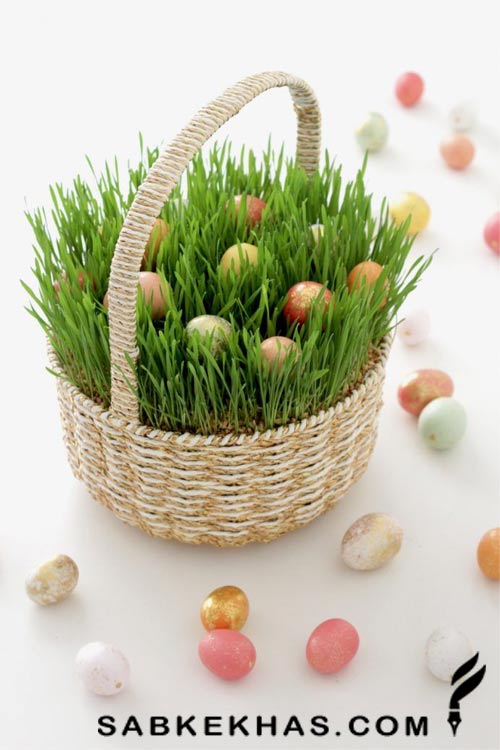 مدل سبزه عید 1404 مدل سبزه عید 1404