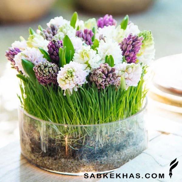 ایده سبزه عید ایده سبزه عید