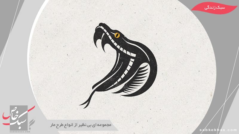 طراحی مار
