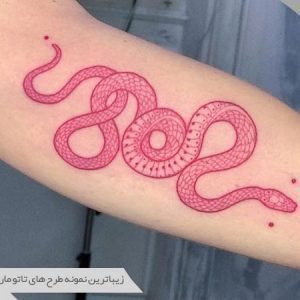 طرح تتوی مار
