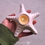 جاوارمری ستاره دریایی