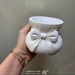 جابراشی پاپیون
