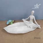 دیس پذیرایی یوگایی