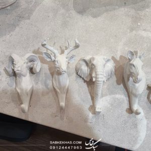 جاكليدی کله حیوانات